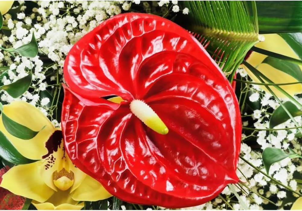 Dekorly Artificial Anthurium Flowers Real Touch Fake Flower for Table Centerpieces Arrangement and Bridal Wedding Festival Decor Flower Arrangement (Red, Height : 24Inch)