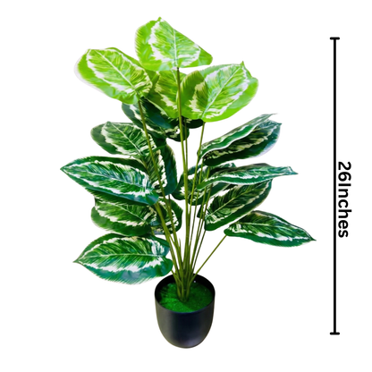 Dekorly Plastic Fake Plants Artificial Floor Plants Large Tropical Palm Tree for Home Decor (African Mask Plant)