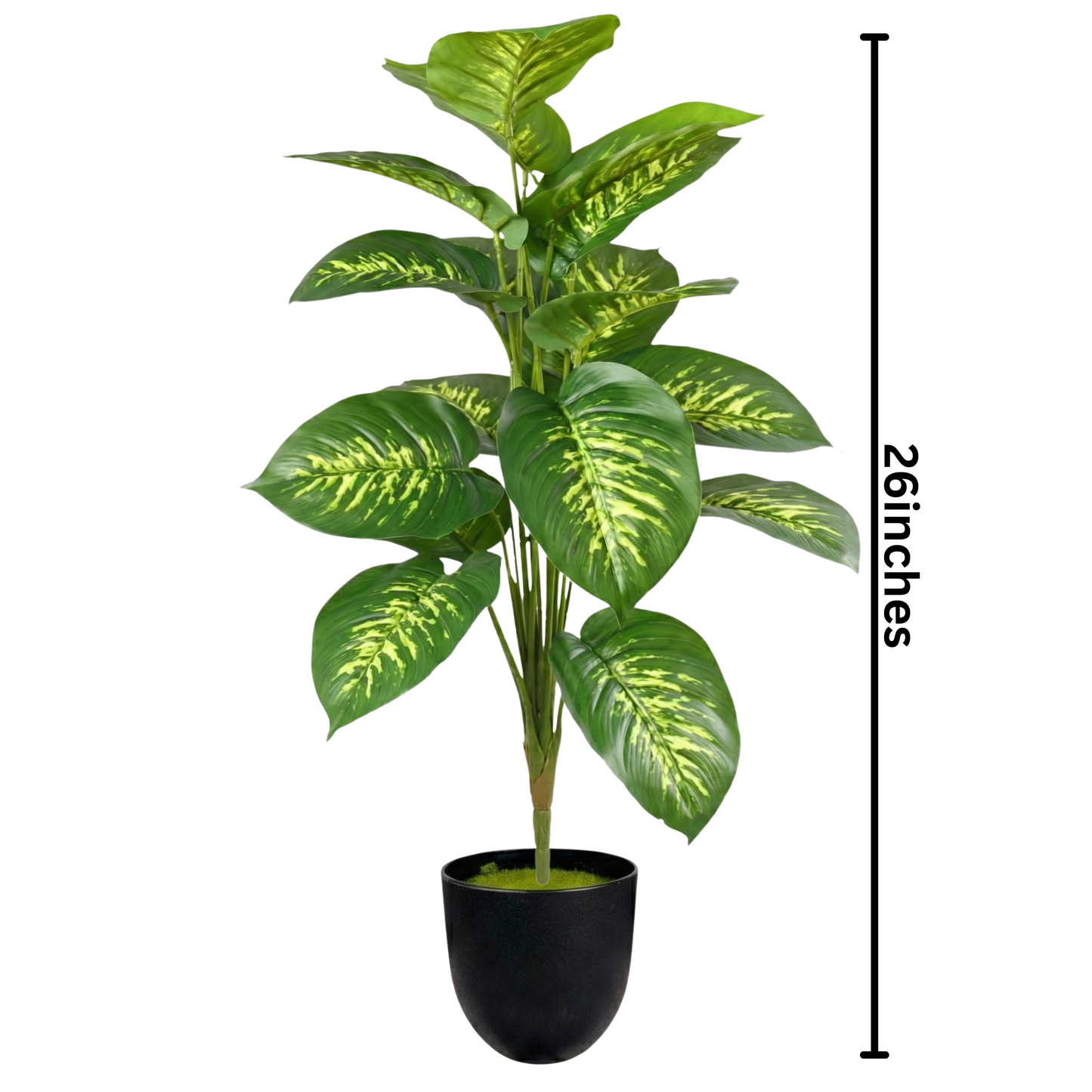 Dekorly 26″ Artificial Dieffenbachia Plant in Black Pot– Indoor Home Décor