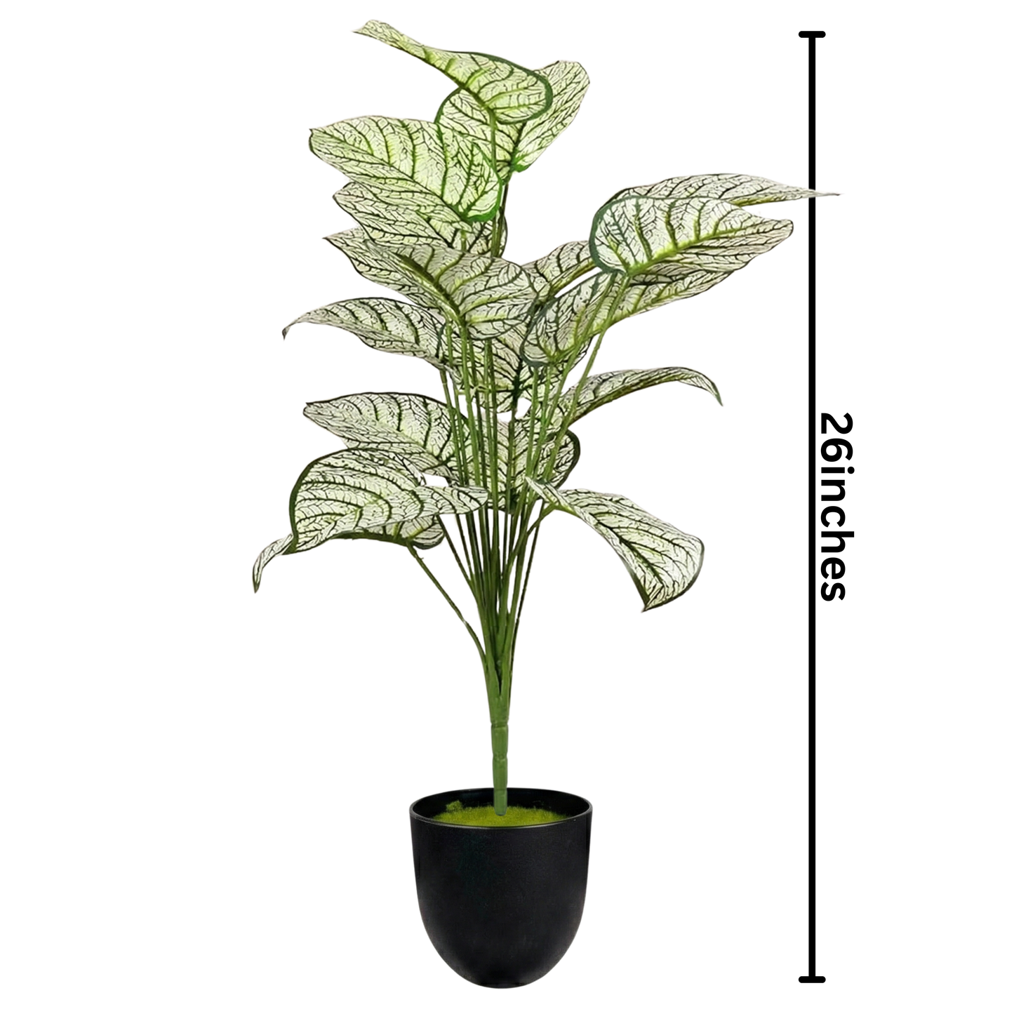 Dekorly Plastic Artificial Palm Plants Leaves Faux Turtle Leaf Fake Monstera Tropical Large Palm Tree Leaves Outdoor Leaf Decorations | 26Inch Plants with Blackpot (White-Green-Leaves)