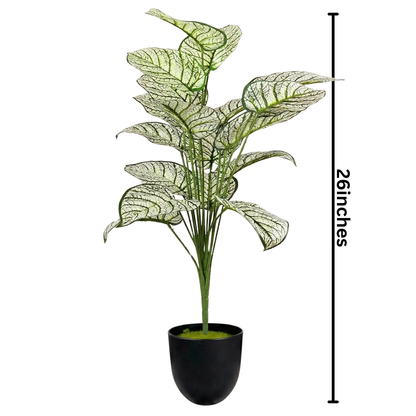 Dekorly Plastic Artificial Palm Plants Leaves Faux Turtle Leaf Fake Monstera Tropical Large Palm Tree Leaves Outdoor Leaf Decorations | 26Inch Plants with Blackpot (White-Green-Leaves)
