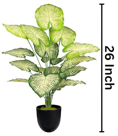 Dekorly Plastic Artificial Palm Plants Leaves Faux Turtle Leaf Fake Monstera Tropical Large Palm Tree Leaves Outdoor Leaf Decorations | 26Inch Plants with Blackpot (White-Green-Leaves)