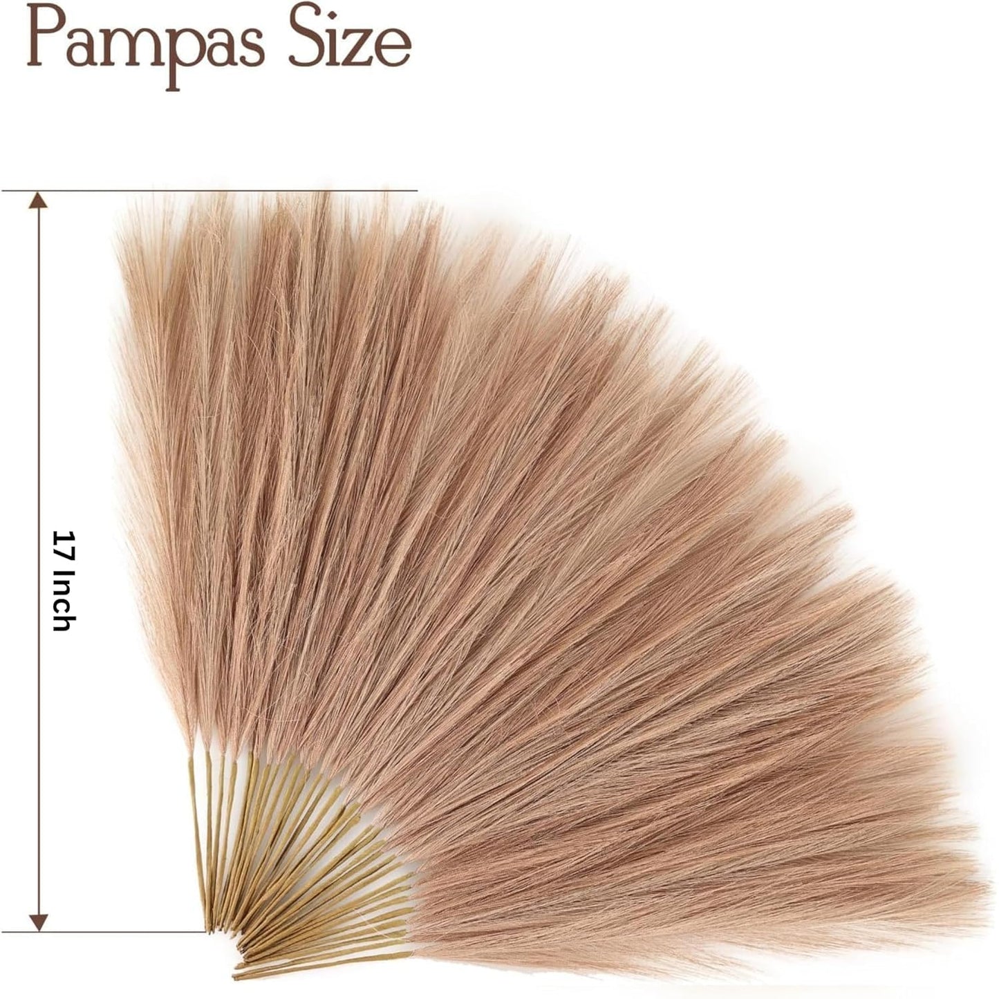 Dekorly 3 Pcs Small Faux Pampas Grass | Fluffy Artificial Flowers for Home Decor, Office, Bedroom, Wedding & Festival Décor | Leaves & Grass Arrangement (41 cm)(Pack of 3)