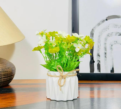 Small potted plant with green leaves and yellow flowers on a wooden surface.