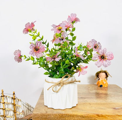 Potted plant with pink flowers on a wooden surface with a white background
