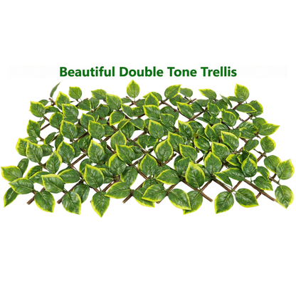 Dekorly Artificial Ivy Leaf Trellis Fence, 10ft x 4ft Expandable Grass Fence, UV Protected Faux Greenery for Outdoor & Indoor Use