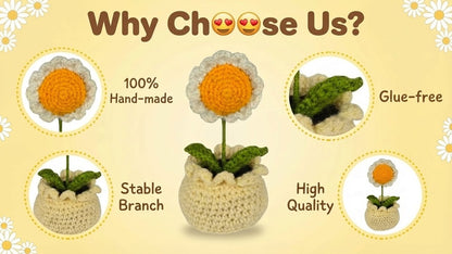 Dekorly Handmade Crochet White Daisy Flower Pot Décor – Yarn Floral Tabletop Showpiece for Home, Office & Gift Use (6 Inch Height)