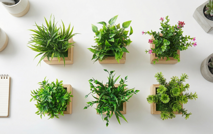 Dekorly Artificial Green Plants Pack of 4 with Wooden Pots | 20 cm Decorative Indoor Tabletop & Shelf Plants for Home, Office & Living Room