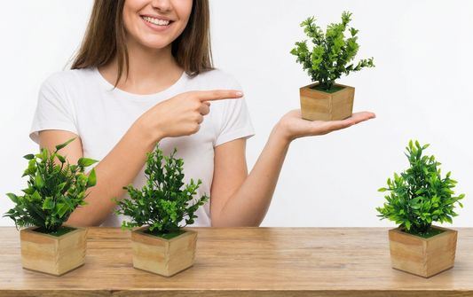 Dekorly Artificial Green Plants Pack of 4 with Wooden Pots | 20 cm Decorative Indoor Tabletop & Shelf Plants for Home, Office & Living Room