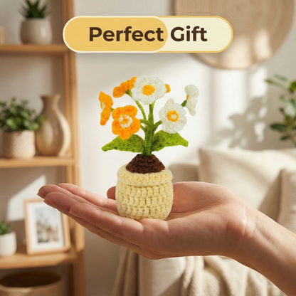 Dekorly Handmade Crochet Daisy Flower Plant (Artificial Yarn Flower) – Home & Desk Decor, With Pot