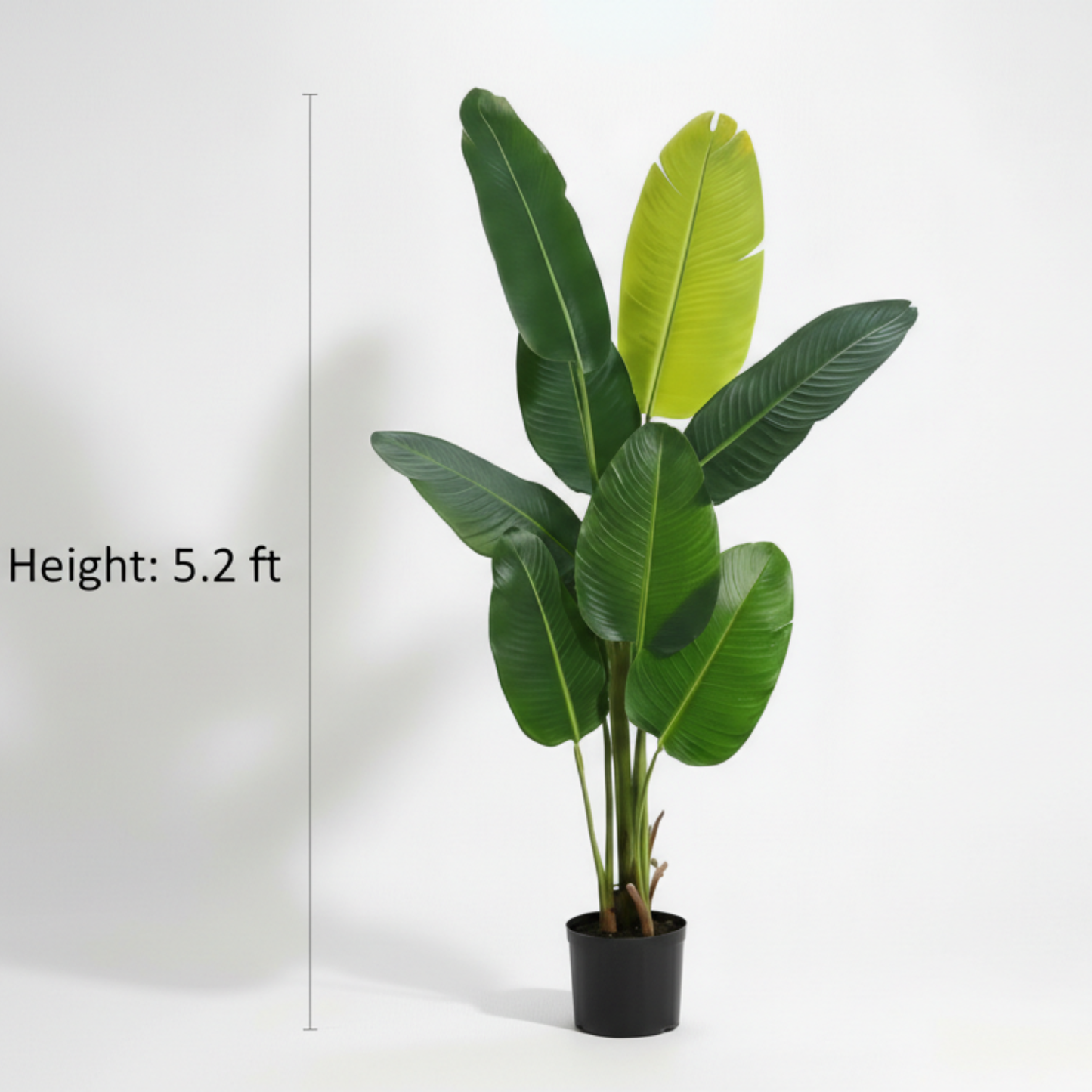 Dekorly 5.2ft Artificial Banana Plant with Pot – Tall Faux Tropical Tree for Living Room, Office, Balcony & Modern Home Decor