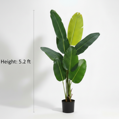 Dekorly 5.2ft Artificial Banana Plant with Pot – Tall Faux Tropical Tree for Living Room, Office, Balcony & Modern Home Decor
