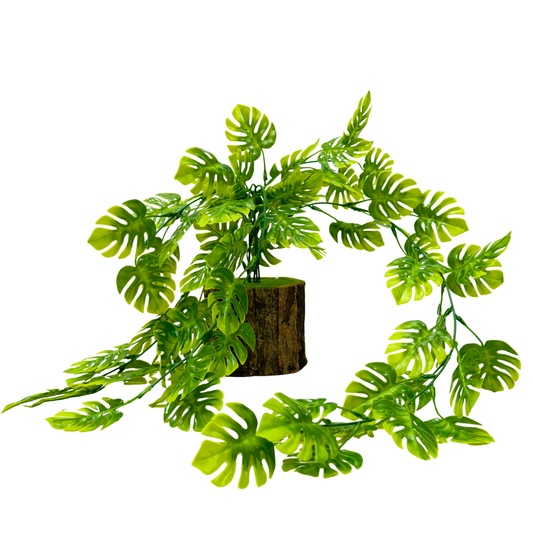 Dekorly Artificial Monstera Vine Plant – 30 cm Potted + 64 cm Hanging Vine Indoor & Outdoor Home & Office Décor
