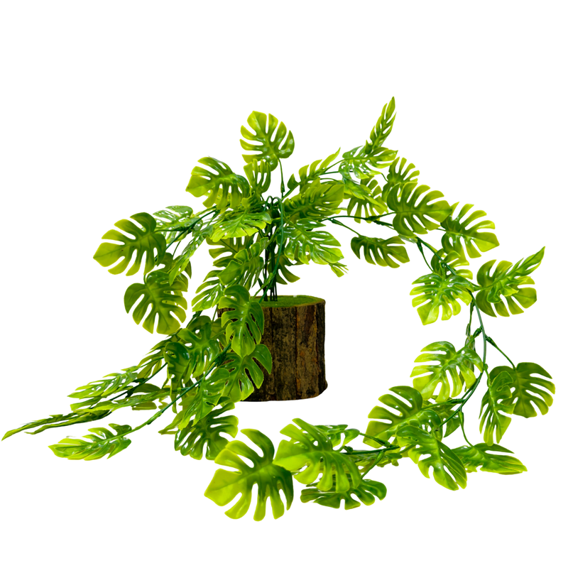 Dekorly Artificial Monstera Vine Plant – 30 cm Potted + 64 cm Hanging Vine Indoor & Outdoor Home & Office Décor