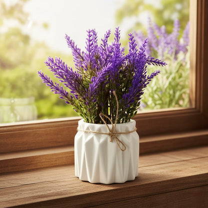 Potted lavender plant on a windowsill with a blurred outdoor background