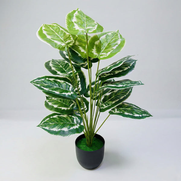 Dekorly Plastic Fake Plants Artificial Floor Plants Large Tropical Palm Tree for Home Decor (African Mask Plant)