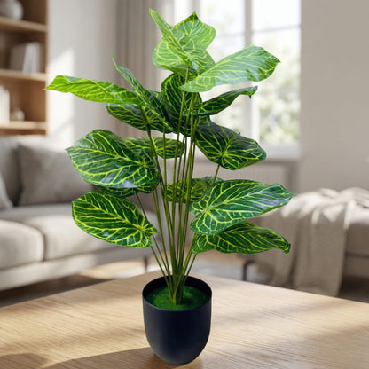 Dekorly Plastic Fake Plants Artificial Floor Plants Large Tropical Palm Tree for Home Decor (Dumb Cane)