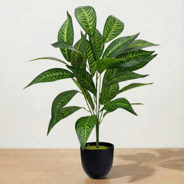 Potted plant with green leaves on a wooden surface and light background