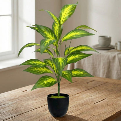 Dekorly Artificial Zebra Leaf Tropical Palm with Pot – 76 cm (30 Inch) Fake Plant with 26 Leaves for Indoor Home & Office Decor