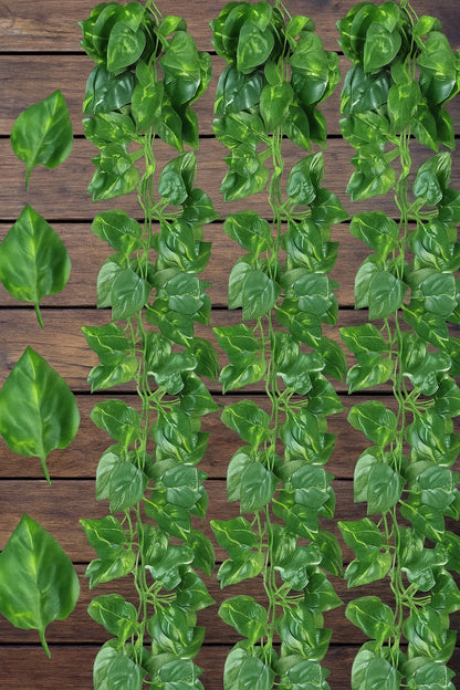 Dekorly Artificial Green Leaf Vine Money Plant Hanging, Artificial Ivy Leaves, Artificial Creeper Leaf Vine, Artificial Ivy Foliage, Ivy Wall Decor,Roof Decor | Each Plant 6 Feet (Green)