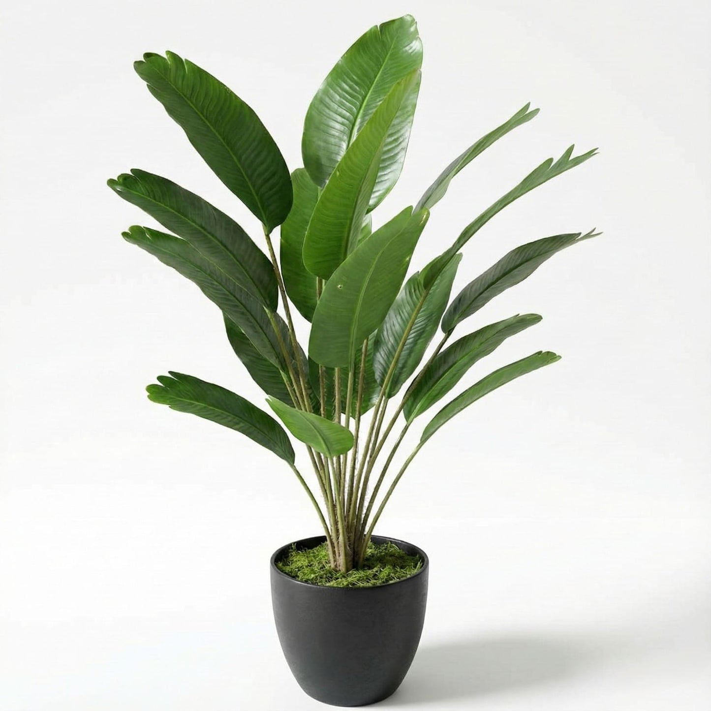 Dekorly Plastic Artificial Banana Plants Leaves Faux Turtle Leaf Fake Monstera Tropical Large Tree Outdoor Leaf Decorations | 18 Leaves | 26Inch (Black Pot | Only One)