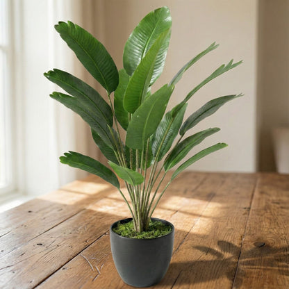 Dekorly Plastic Artificial Banana Plants Leaves Faux Turtle Leaf Fake Monstera Tropical Large Tree Outdoor Leaf Decorations | 18 Leaves | 26Inch (Black Pot | Only One)