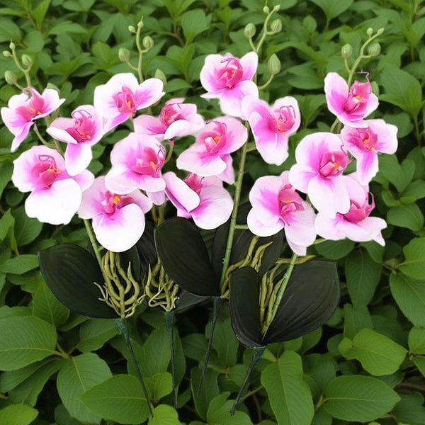 Dekorly Artificial Phalaenopsis Orchid Flowers, Pink Silk, 15 Inch, 4 Pieces, Indoor Decorative Bouquets for Home, Office, Wedding, Party (Rose)